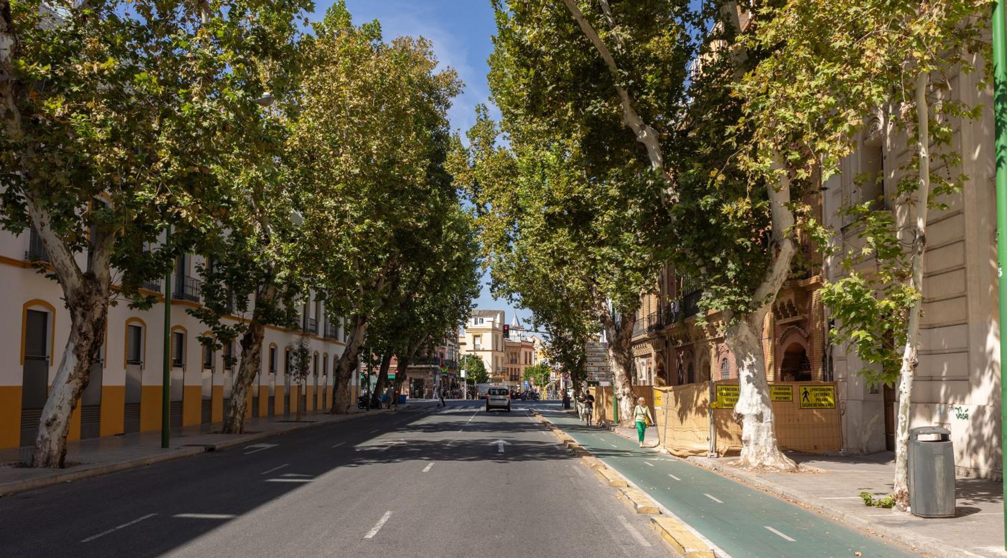 Charming 2 Bedroom Apartment At Sevilla City Center By Ocityzen Εξωτερικό φωτογραφία